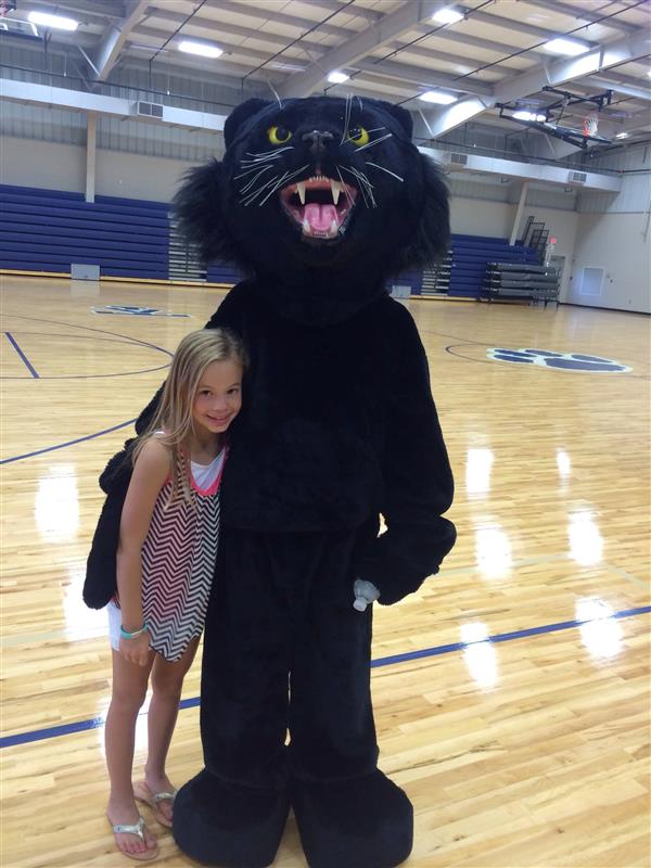 panther panther